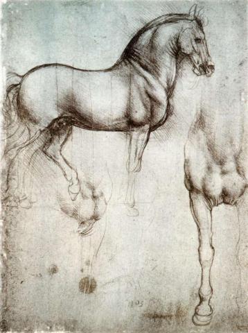study of horse leonardo da vinci
